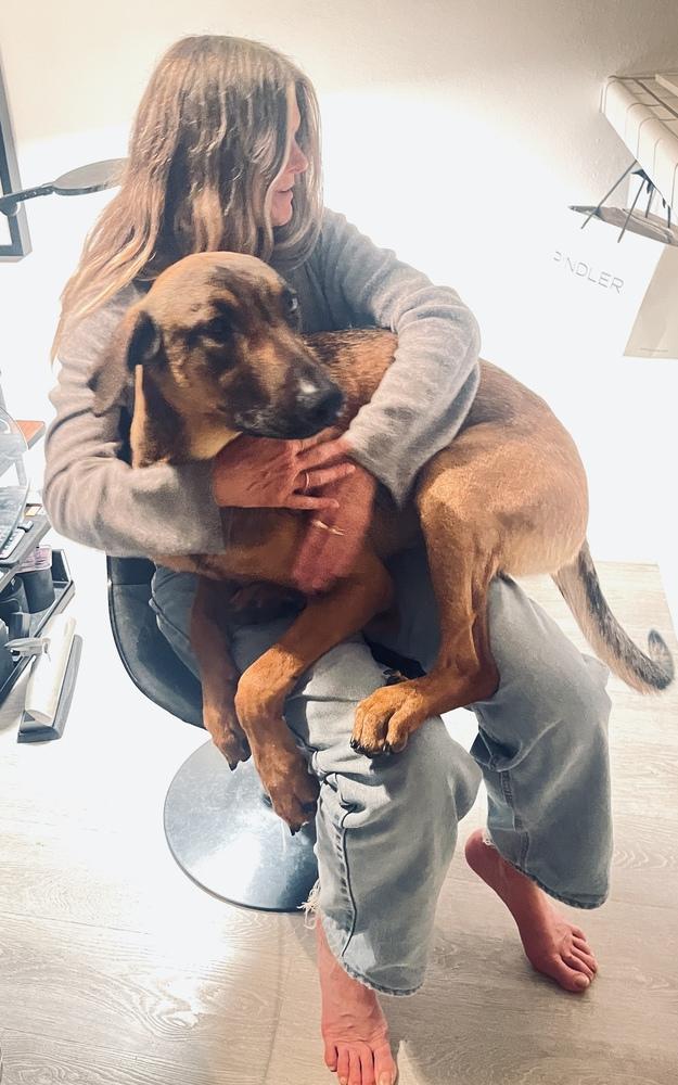 Enlarge Doug, a Adoptable mixed breed in Pasadena, CA image 4/6