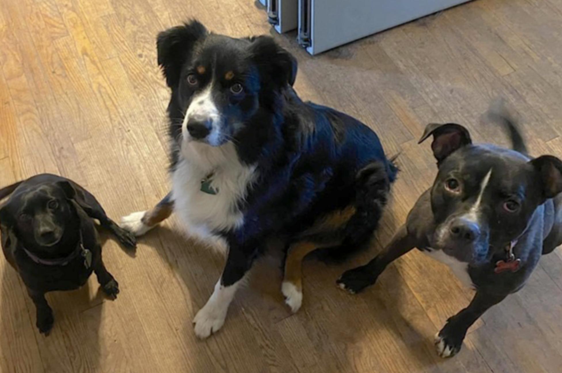 Kody — thumbnail 3