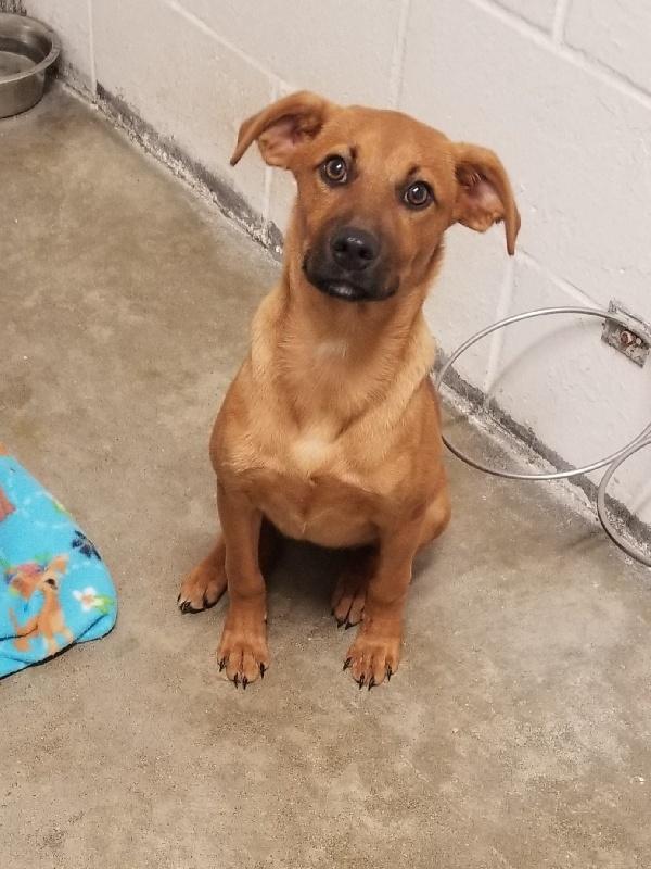 RUBY
