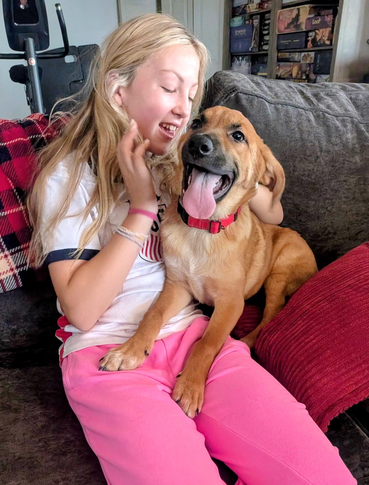 Enlarge Nash, an adopted mixed breed in Thornton, CO image 4/6