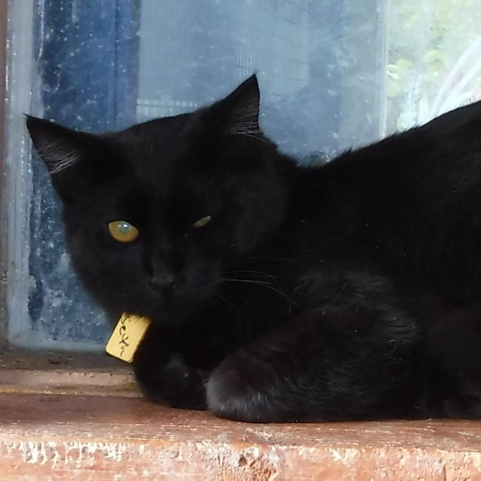 Seth  Sleek & thumbnail 3