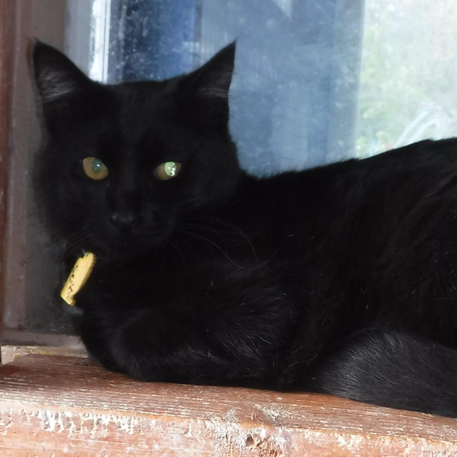 Seth  Sleek & thumbnail 2