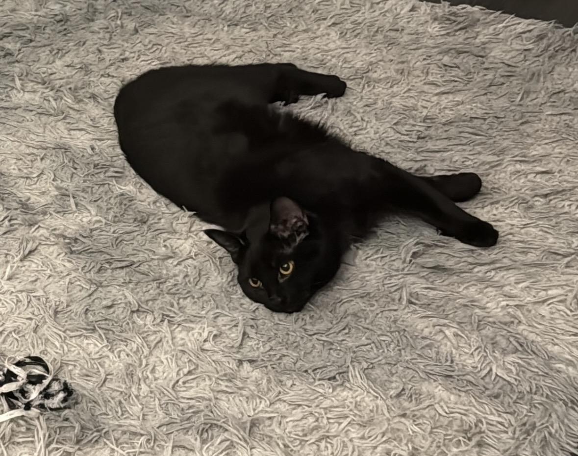 Pebble — thumbnail 2