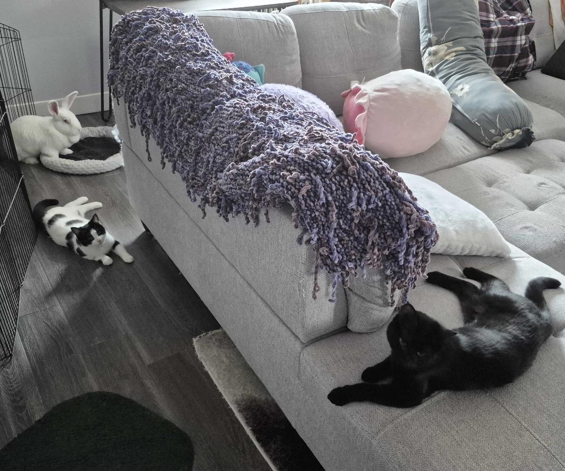 Pebble — thumbnail 6