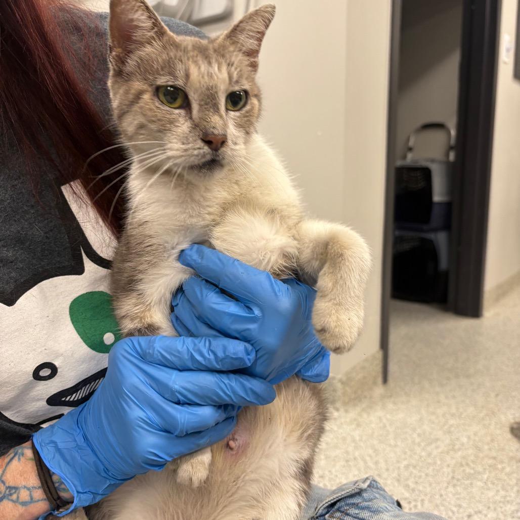 Emma Gerber — thumbnail 2