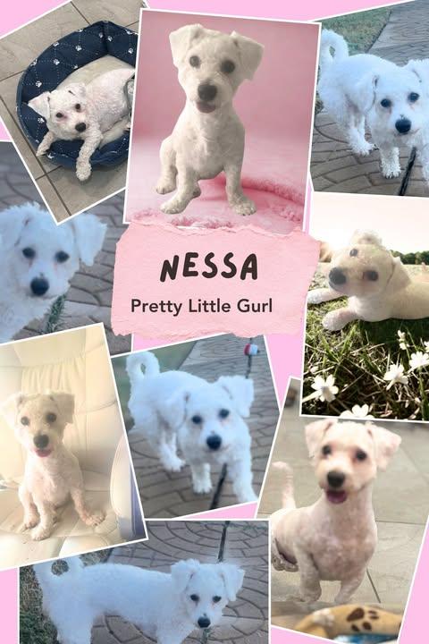 Nessa thumbnail 5