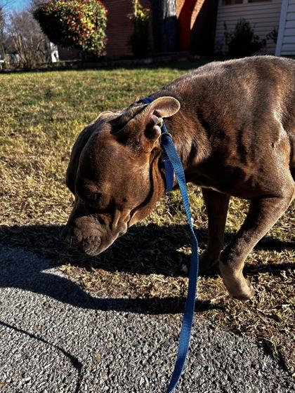 Gianna — thumbnail 2