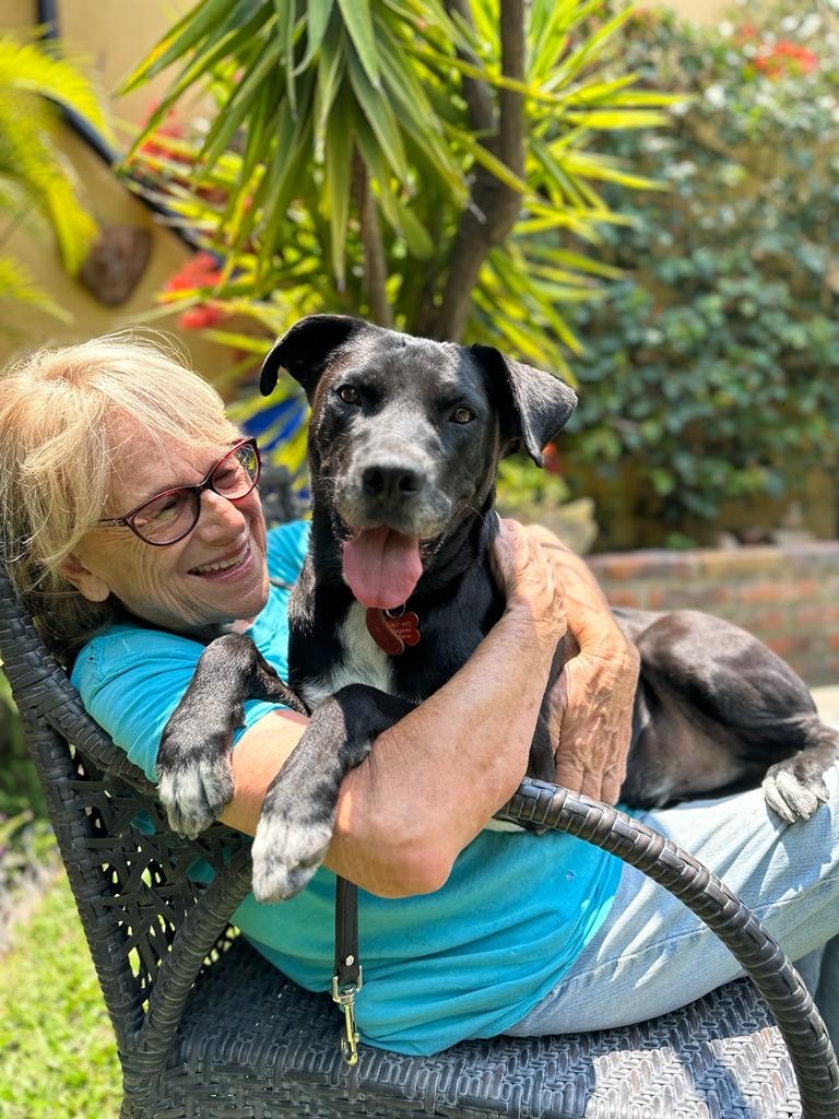 Manny, a Adoptable mixed breed in Sherwood, OR image 2/10