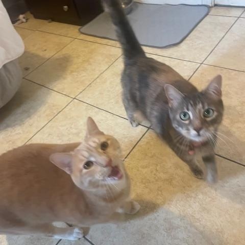 Helen & Olasard — thumbnail 2