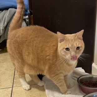 Helen & Olasard — thumbnail 5