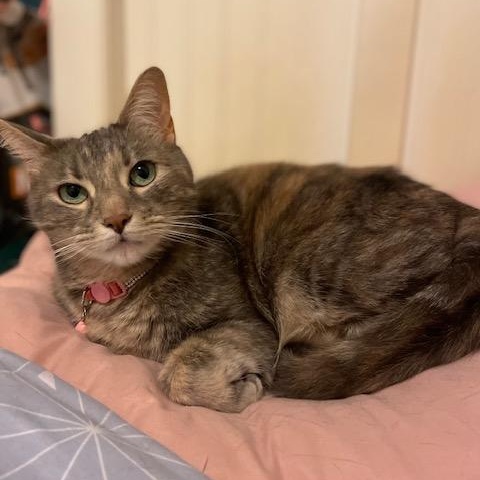 Helen & Olasard — thumbnail 6