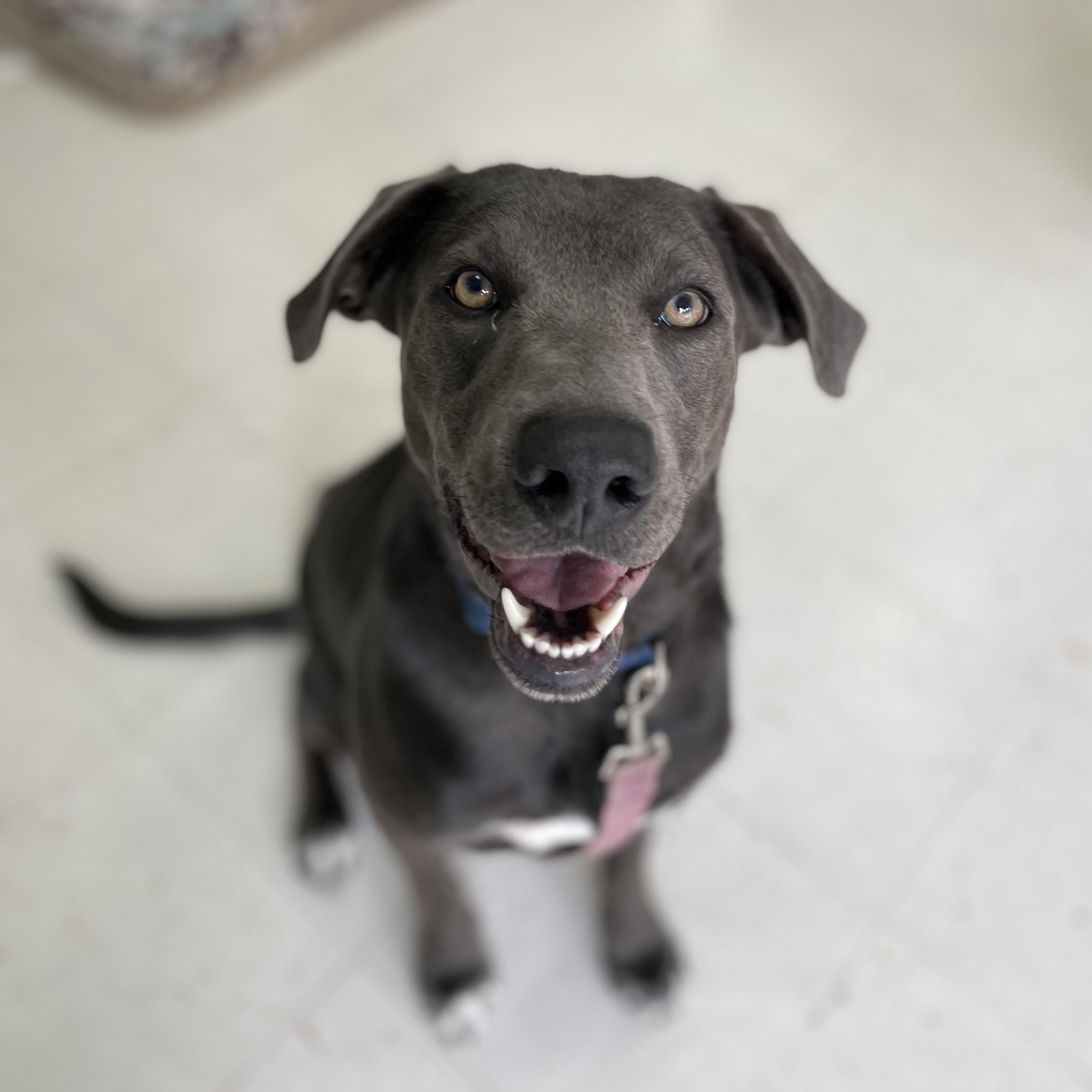 Gretchen