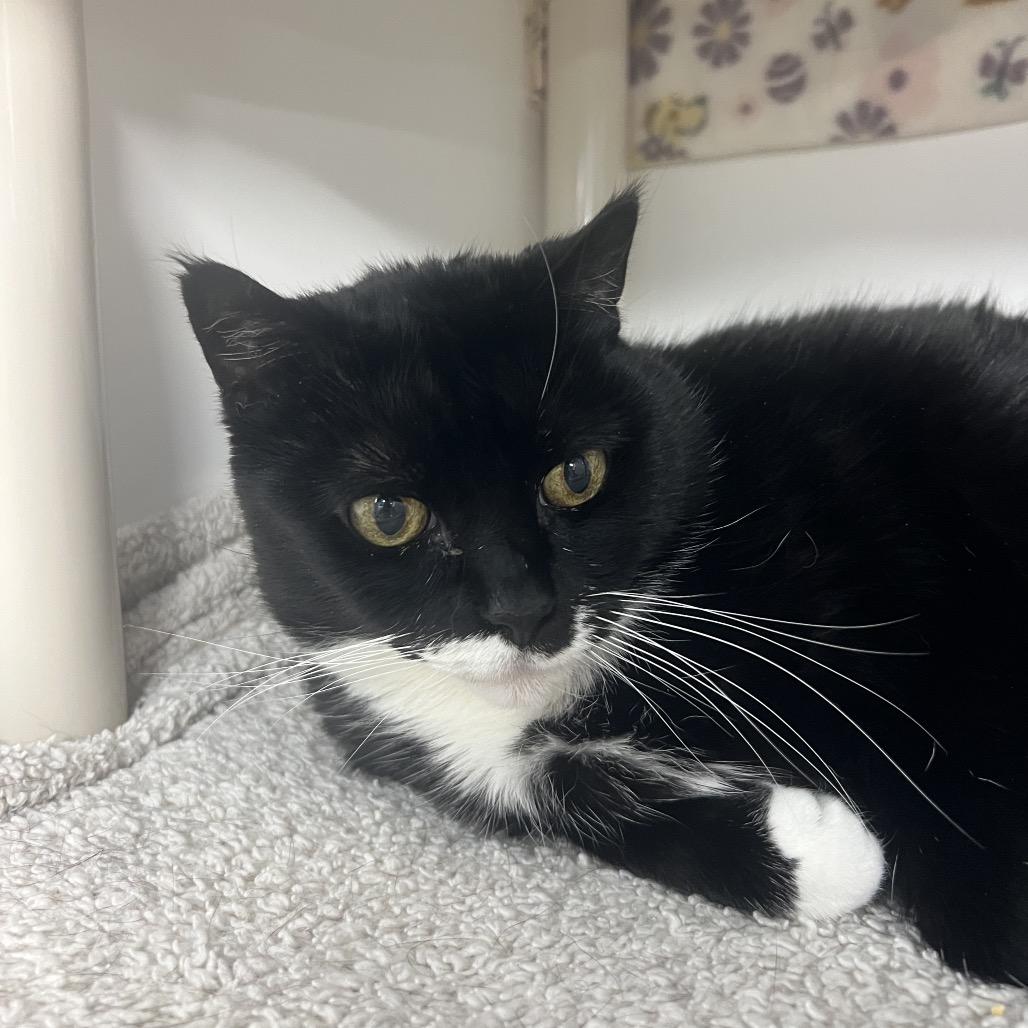 Penelope — thumbnail 2