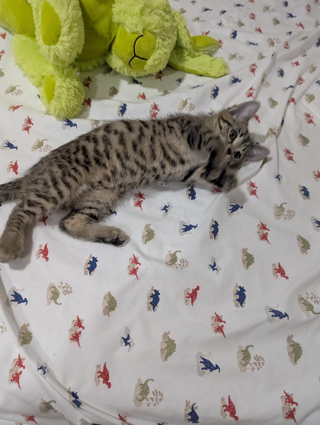 Abby Cadabby — thumbnail 2