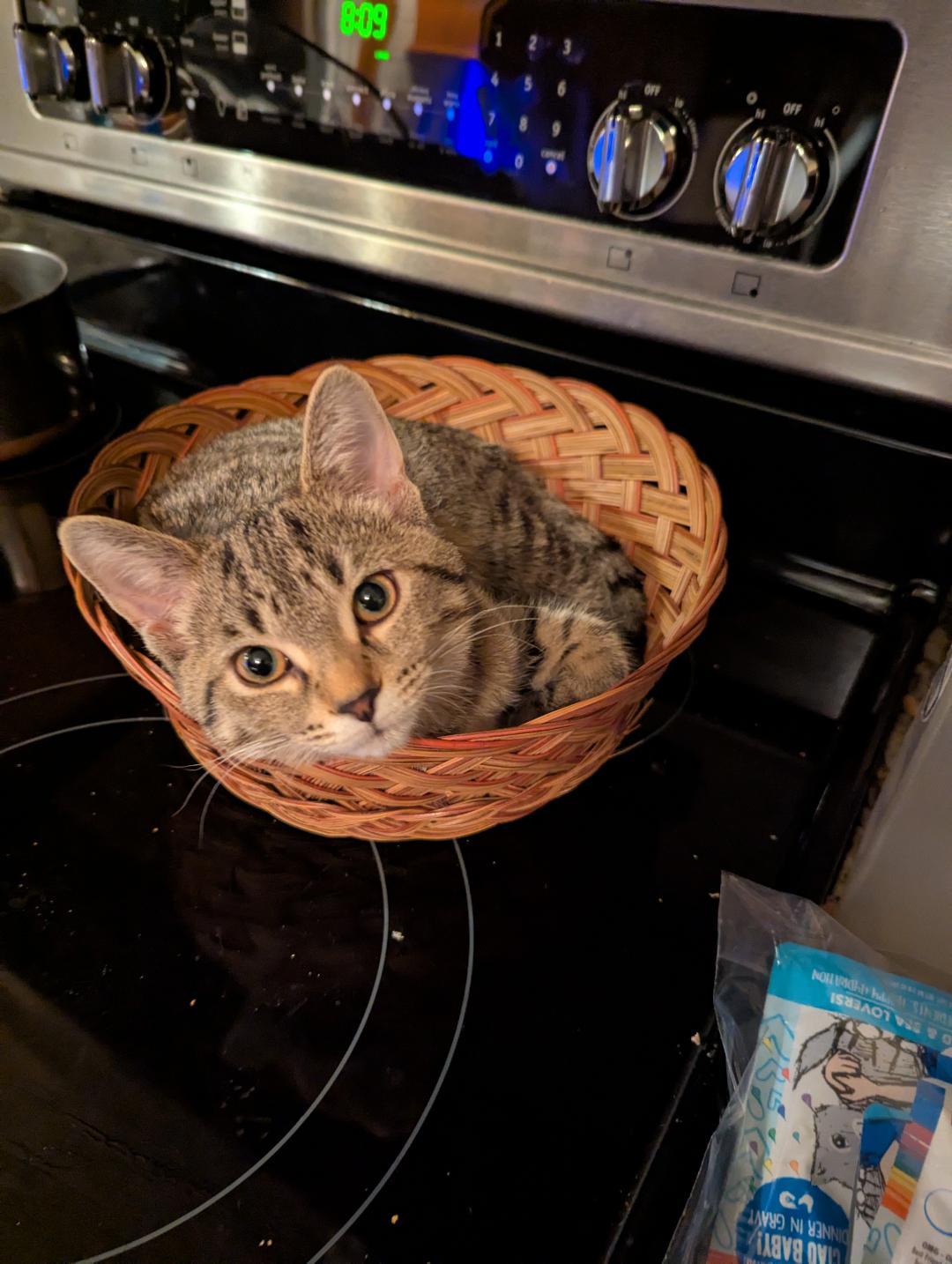 Abby Cadabby — thumbnail 3