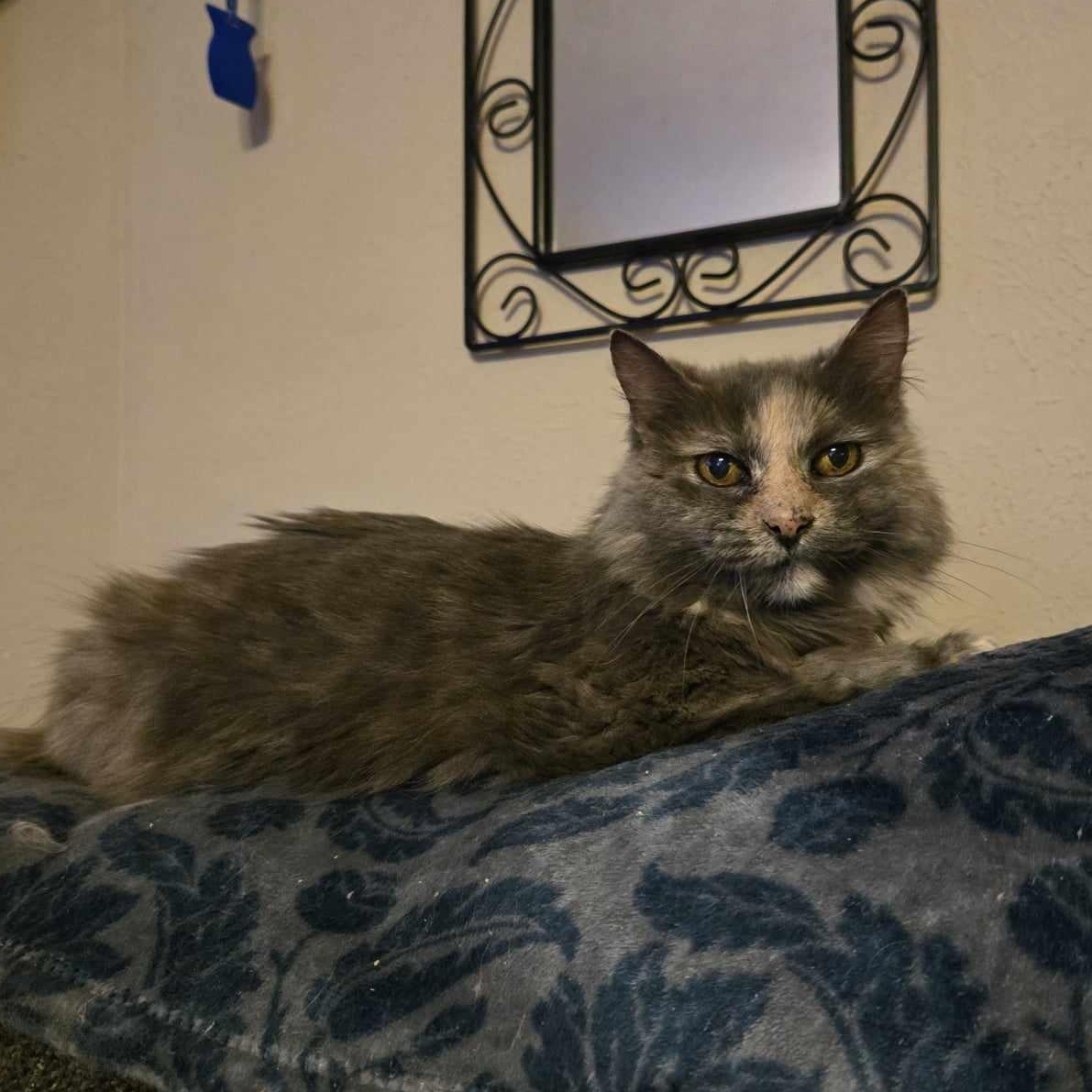 Gertrude "Gertie" photo 2