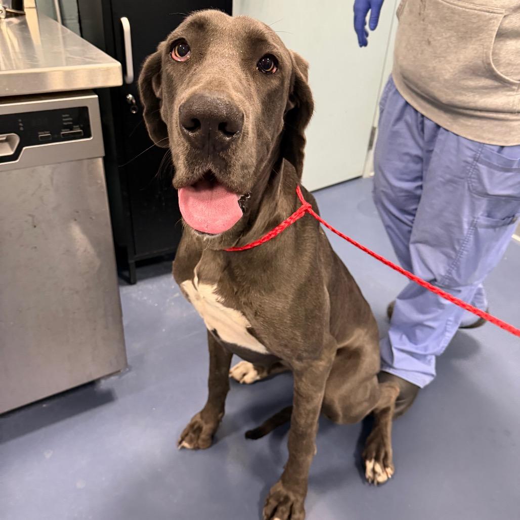 Instagram Famous thumbnail 2