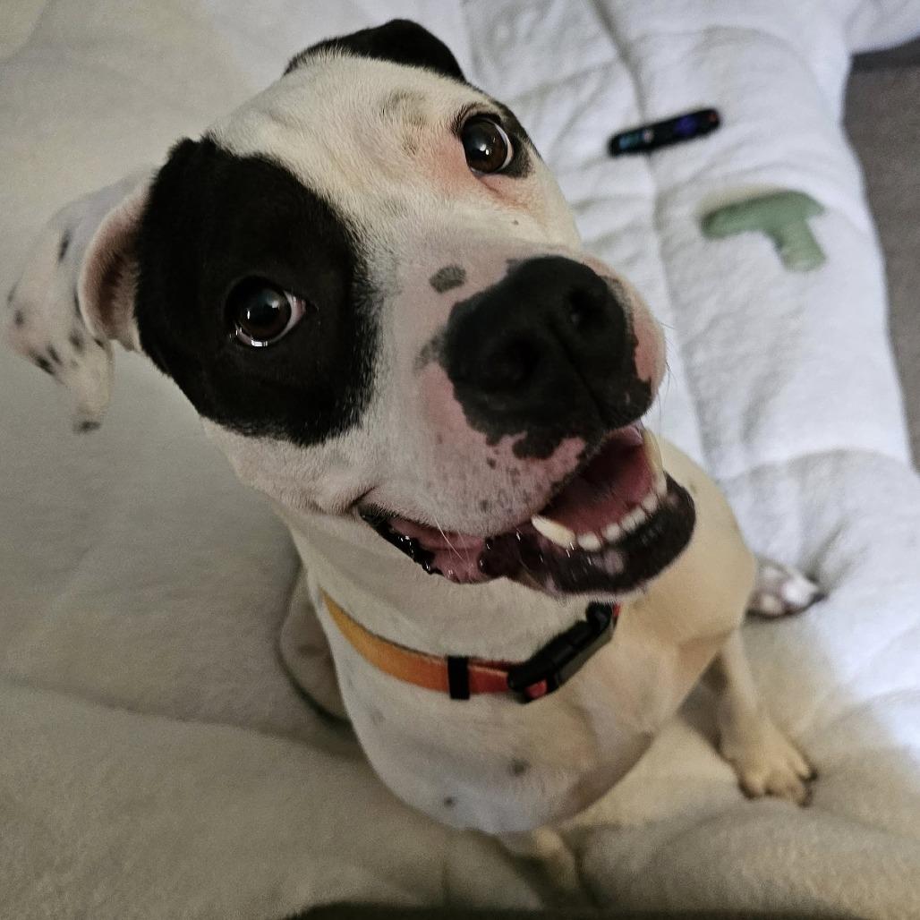 Divinity — thumbnail 2