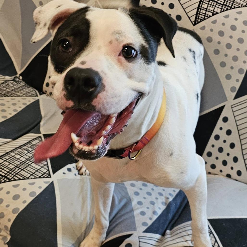 Divinity — thumbnail 3