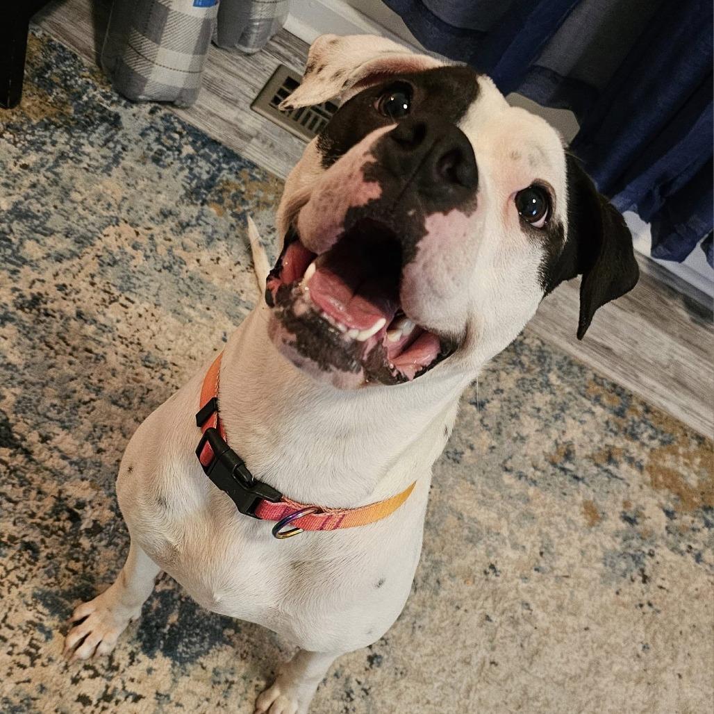 Divinity — thumbnail 4