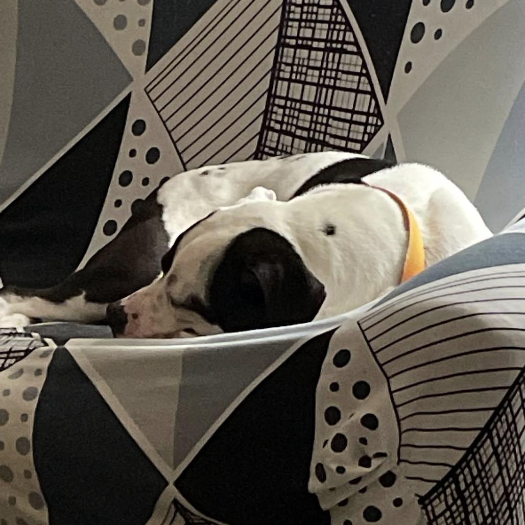 Divinity — thumbnail 5