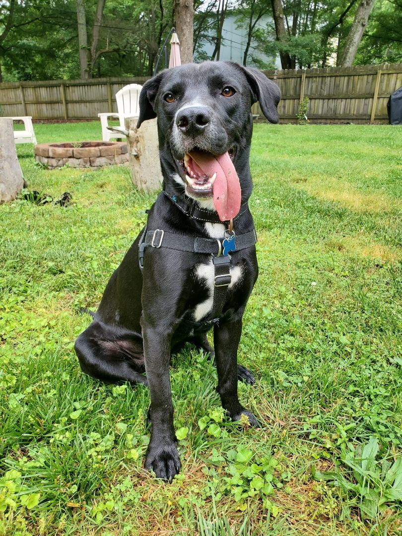 Luigi photo 4