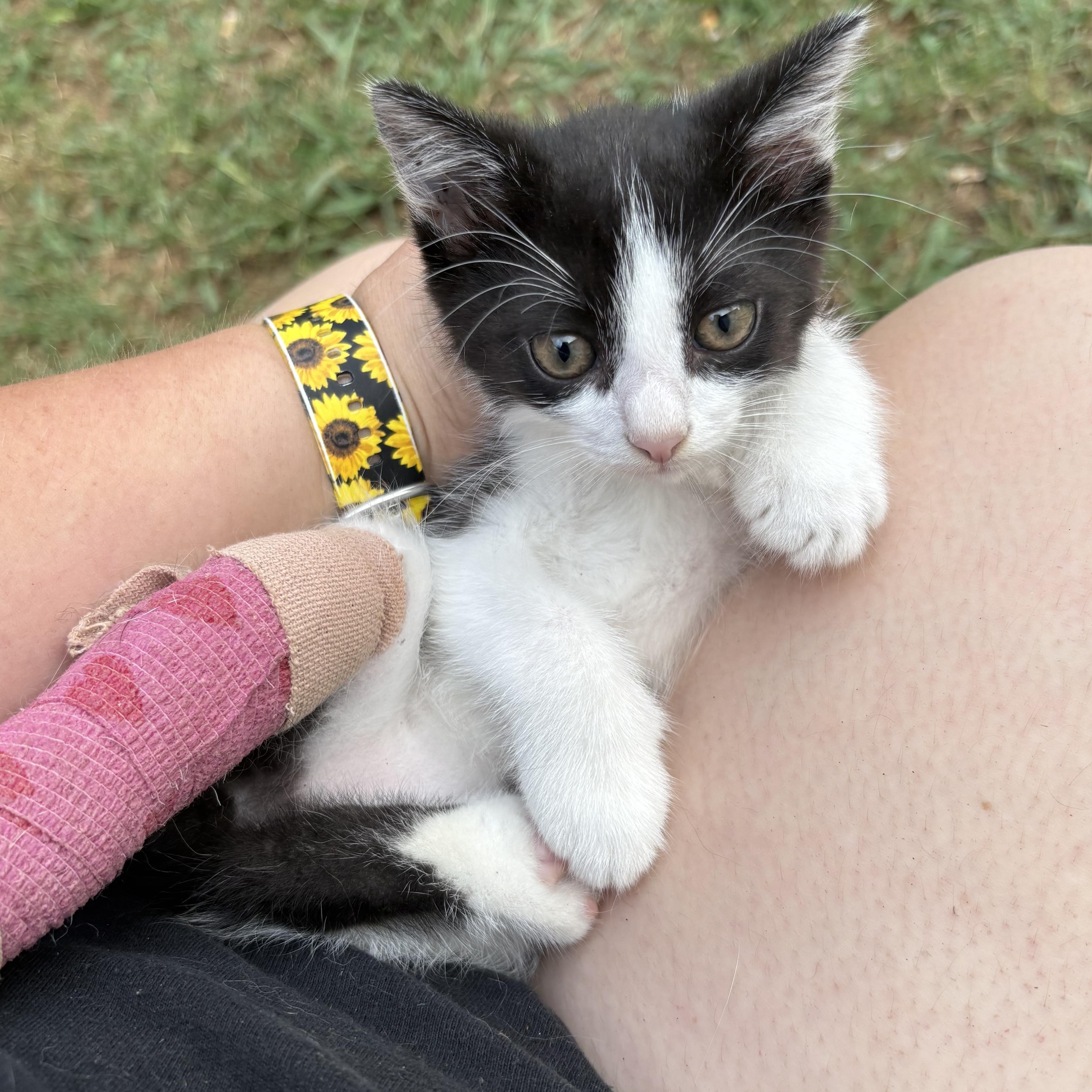 Mr. Thumbs, Baby Male unknown