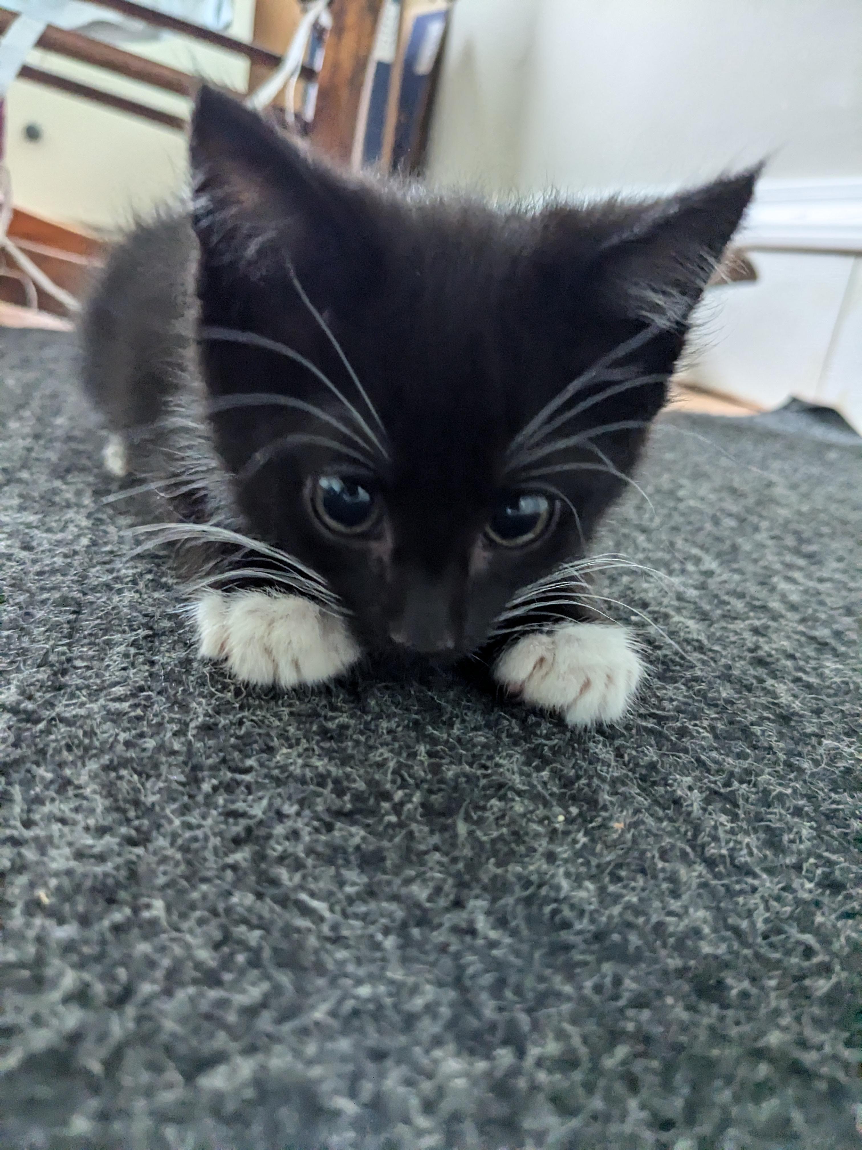 Eddie photo 2