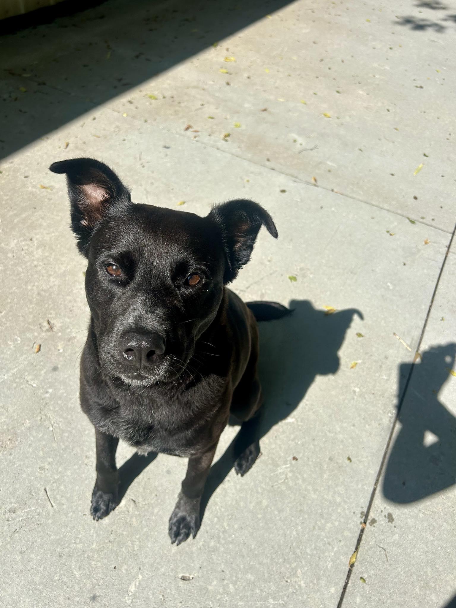 Maggie photo 3