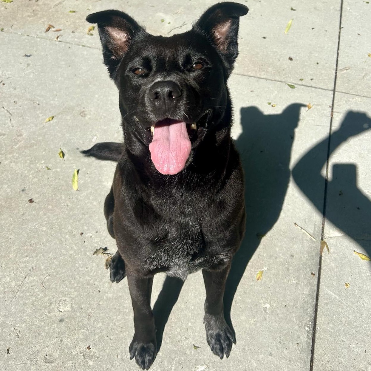 Maggie