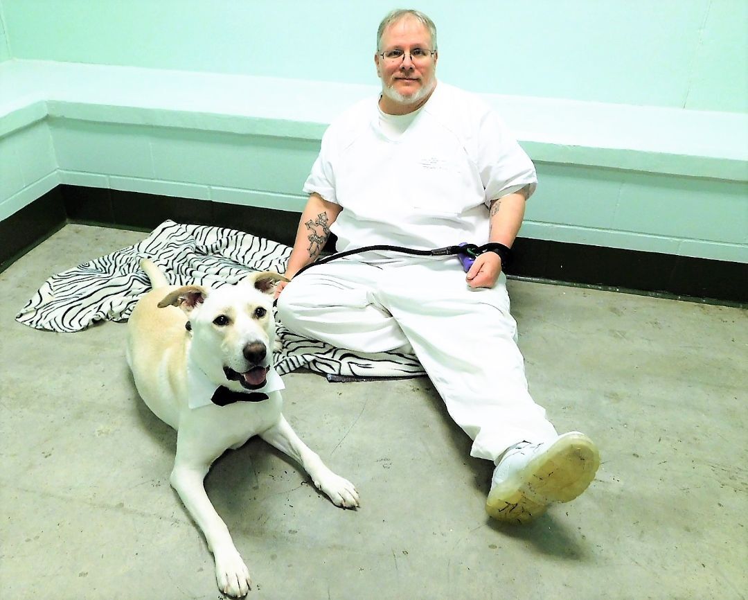 Zack, a Adoptable mixed breed in Milledgeville, GA image 2/6