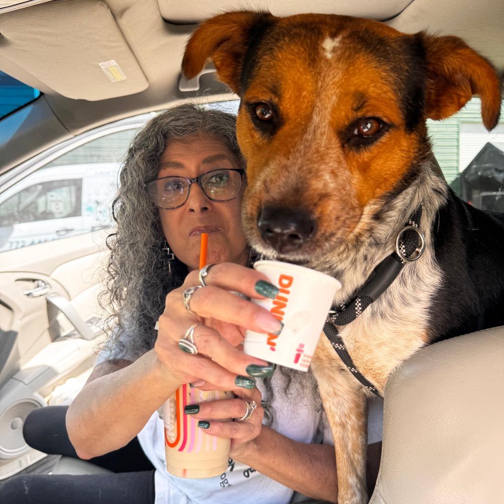 Enlarge JADE (599), a Adoptable mixed breed in Indiantown, FL image 4/6