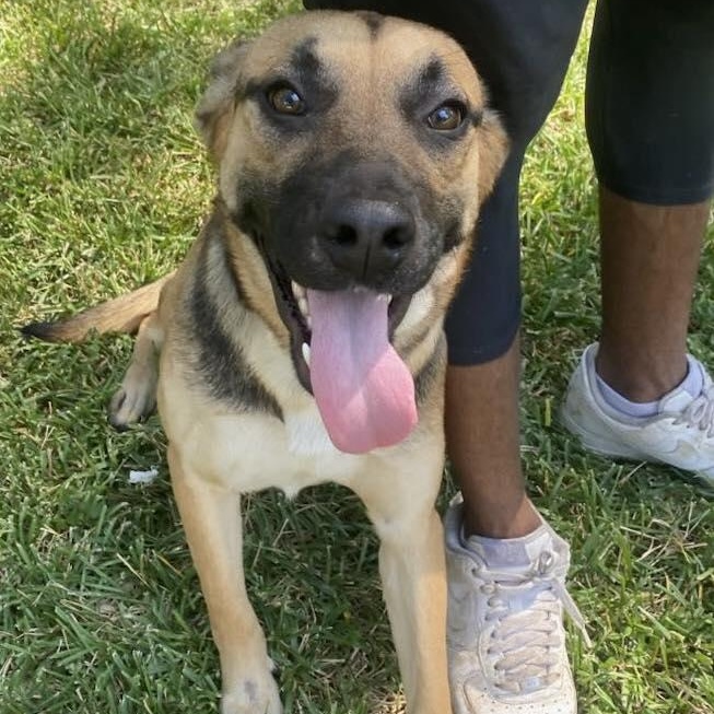 Samantha — thumbnail 2