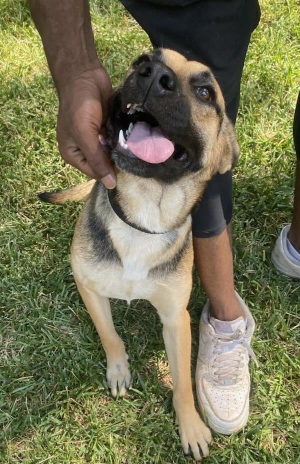 Samantha — thumbnail 3