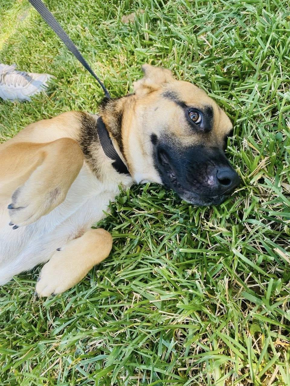 Samantha — thumbnail 5