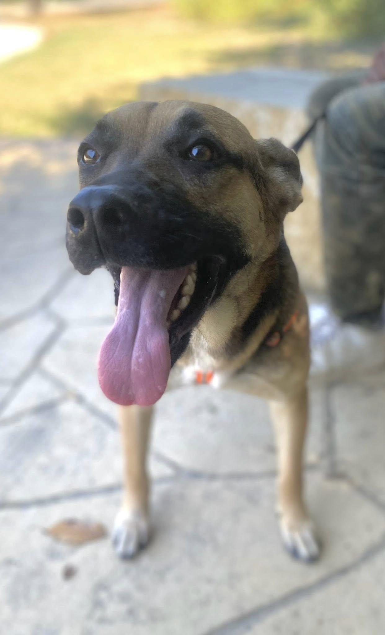 Samantha — thumbnail 6