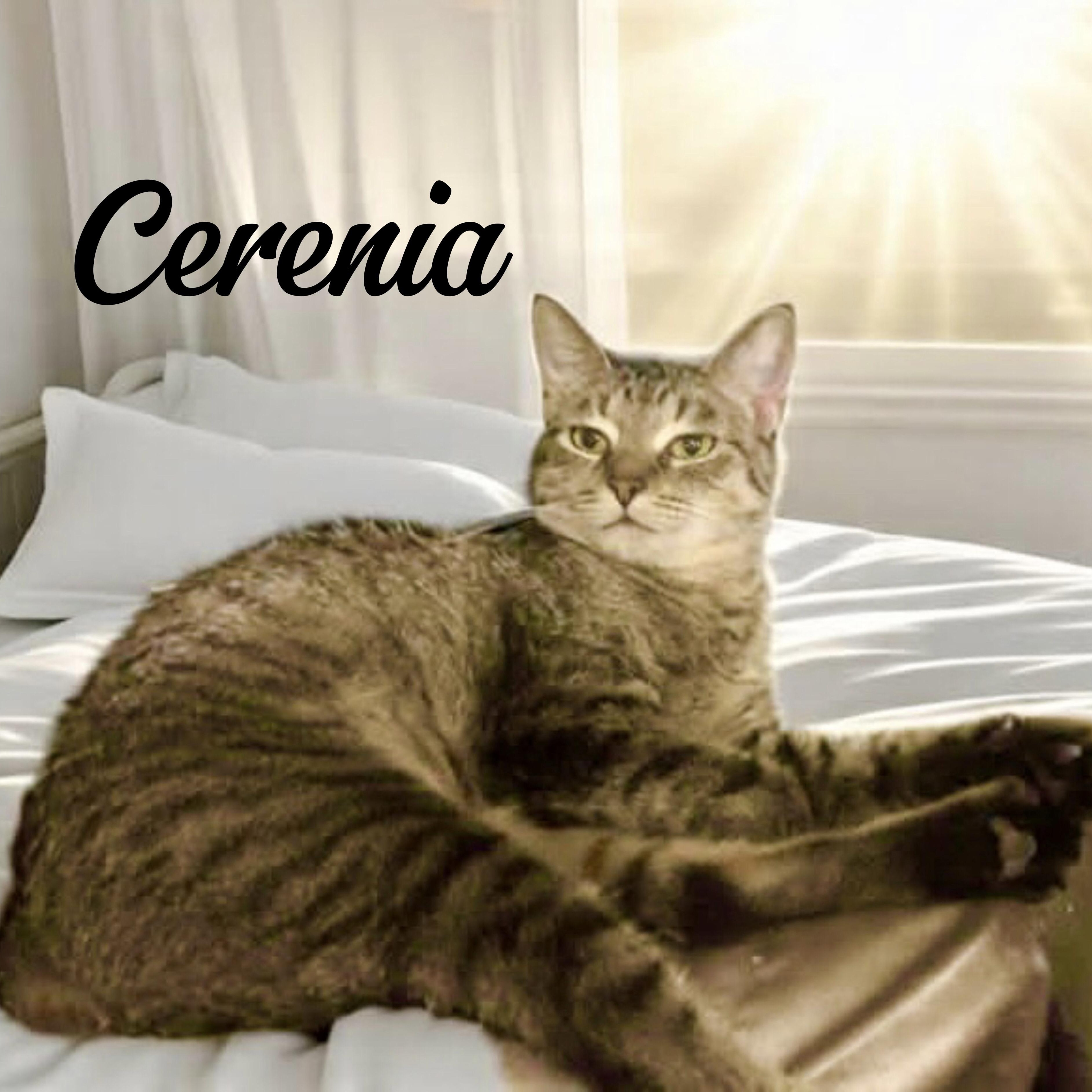 Cerenia