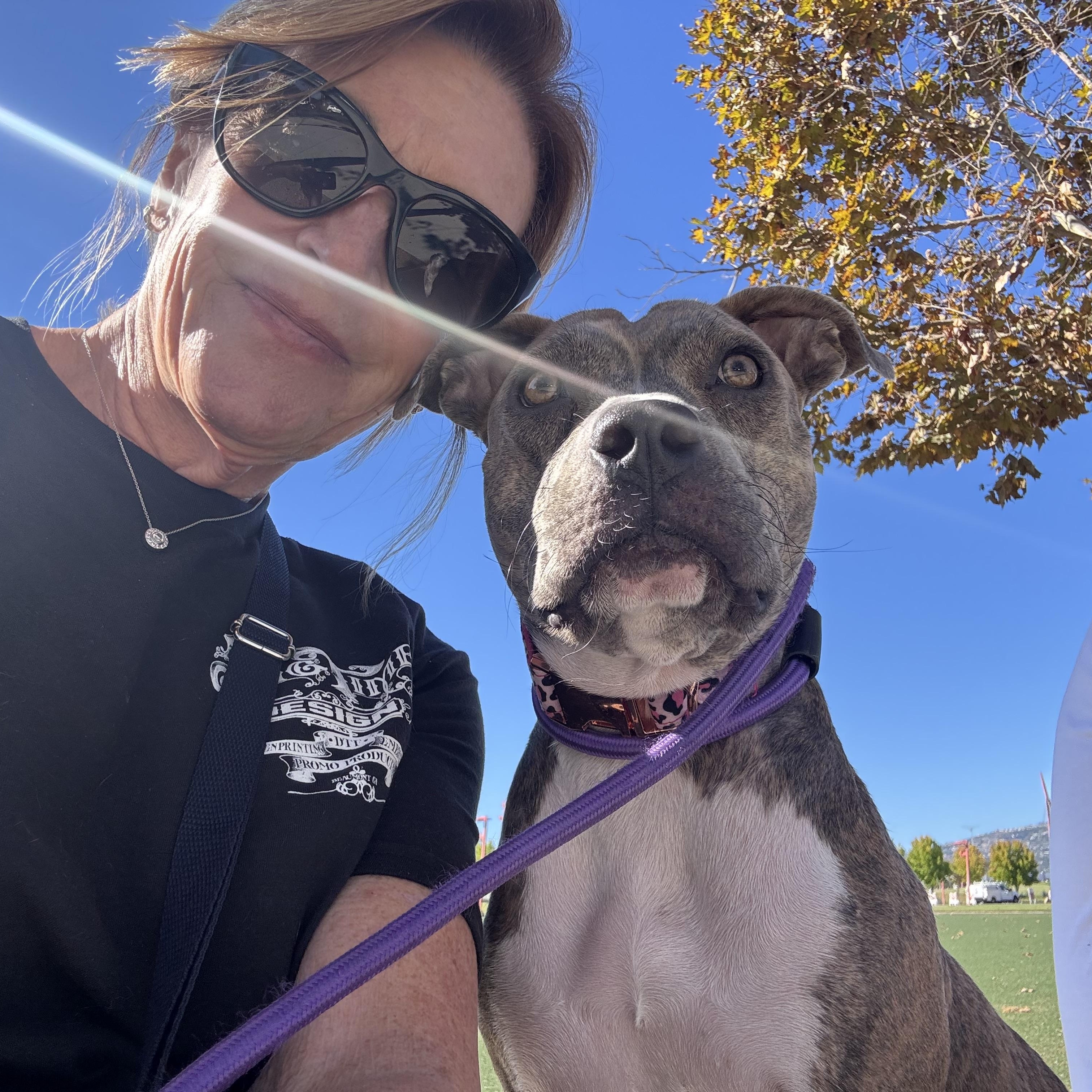 Enlarge Betsy-ADOPT Me, a Adoptable mixed breed in Redondo Beach, CA image 5/6