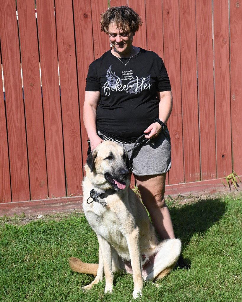 DA 35 Ralph, a Adoptable Anatolian Shepherd in Glen Allen, VA image 3/3
