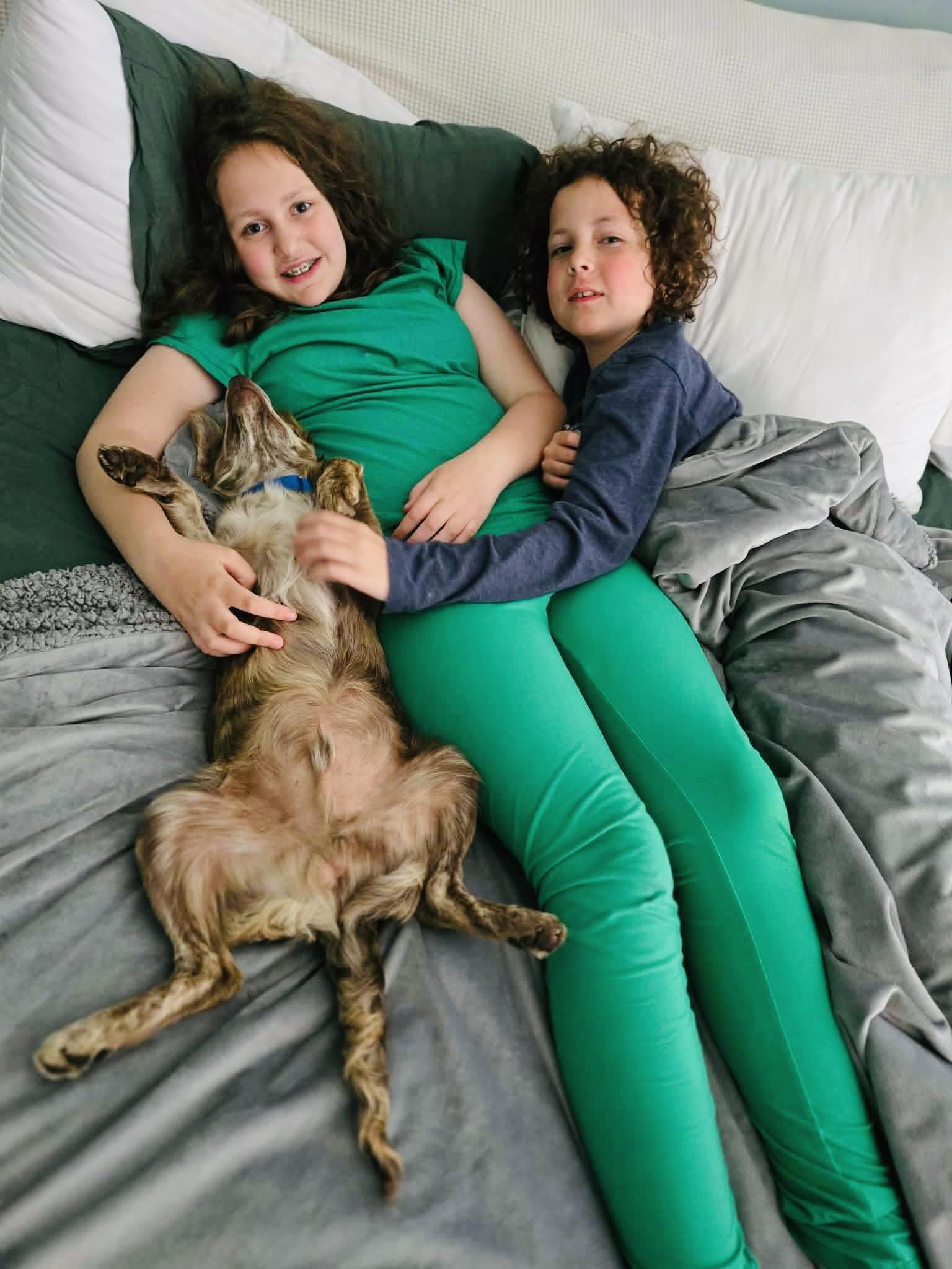 Enlarge Zippy, an adopted mixed breed in Beavercreek, OR image 4/6