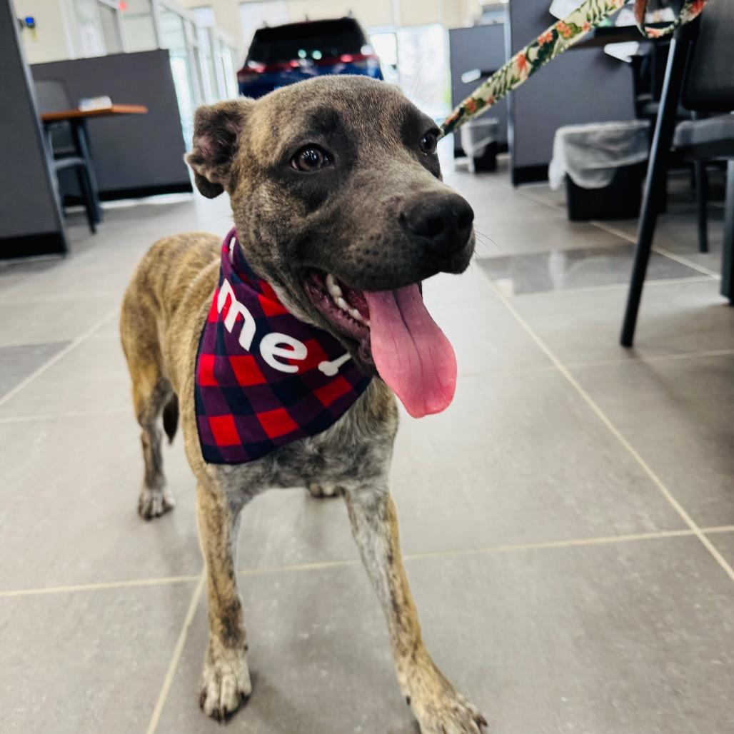 Posey — thumbnail 3