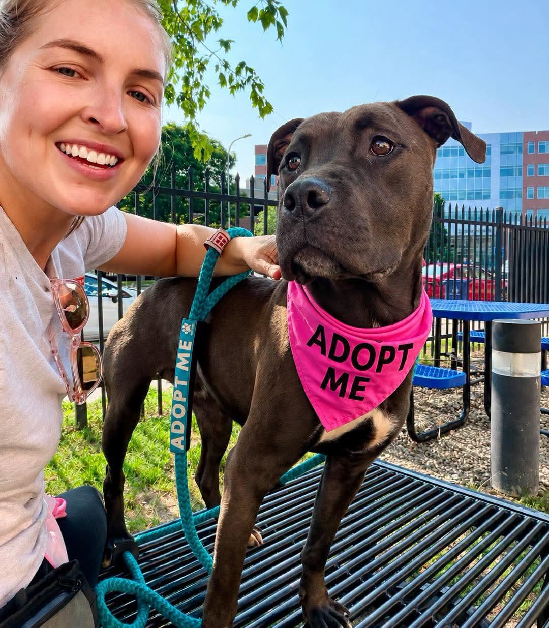 Natasia, a ADOPTABLE Pit Bull Terrier in Buffalo, NY image 4/6