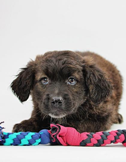 Garett — thumbnail 2