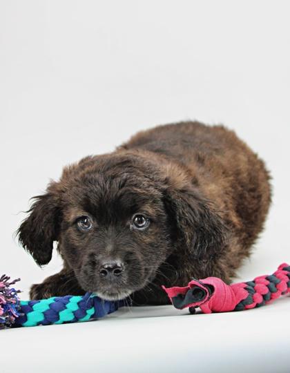 Garett — thumbnail 3