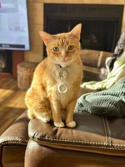 Corey — thumbnail 2