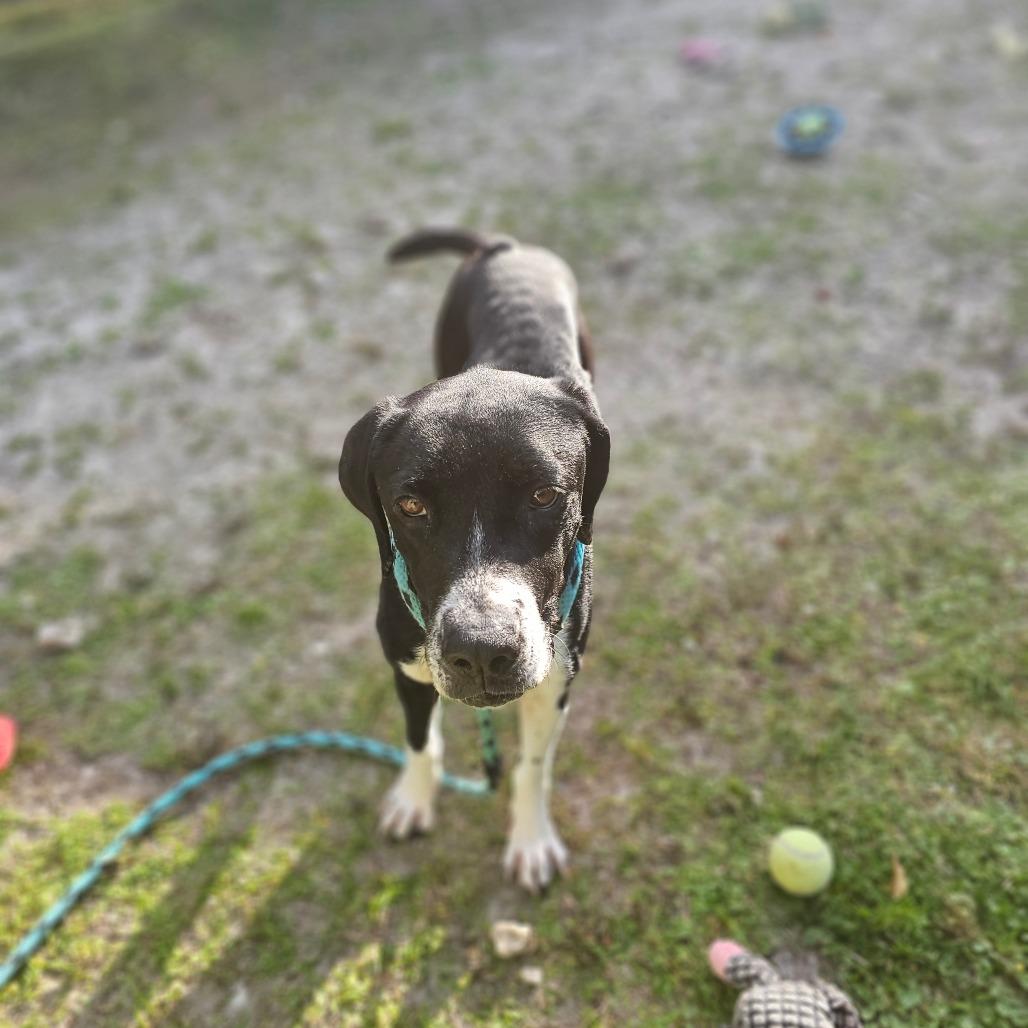 Ashley — thumbnail 2