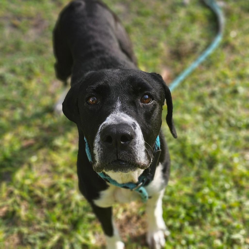 Ashley — thumbnail 3