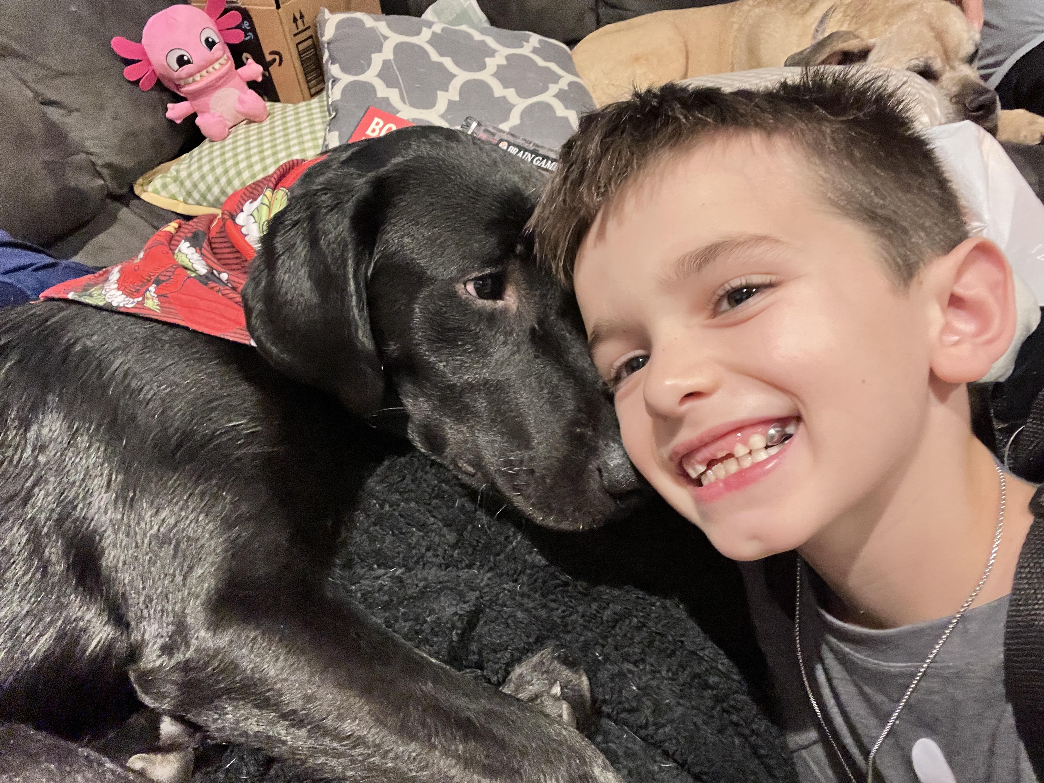 Enlarge Harry Pawter, a ADOPTABLE Black Labrador Retriever in Salt Lake City, UT image 3/6