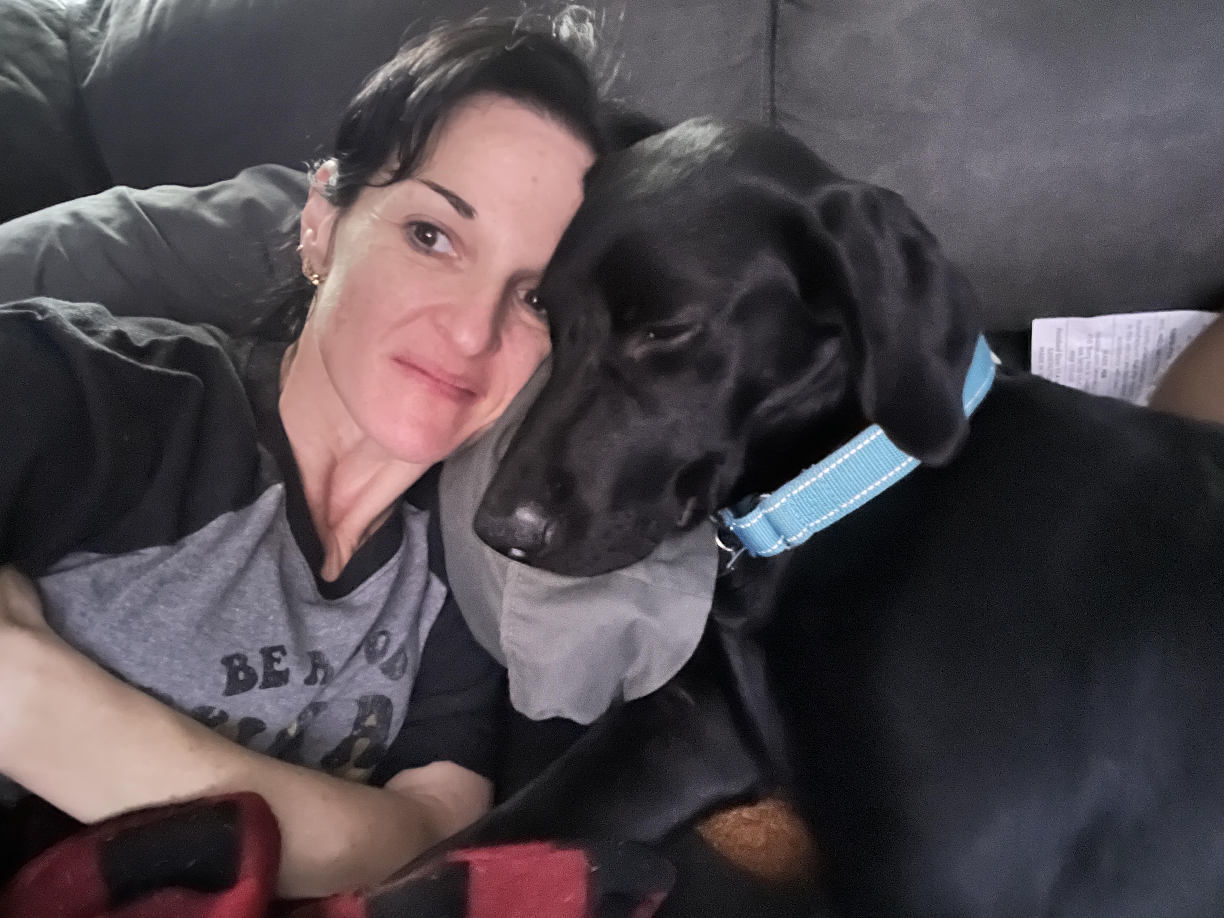 Enlarge Harry Pawter, a ADOPTABLE Black Labrador Retriever in Salt Lake City, UT image 6/6