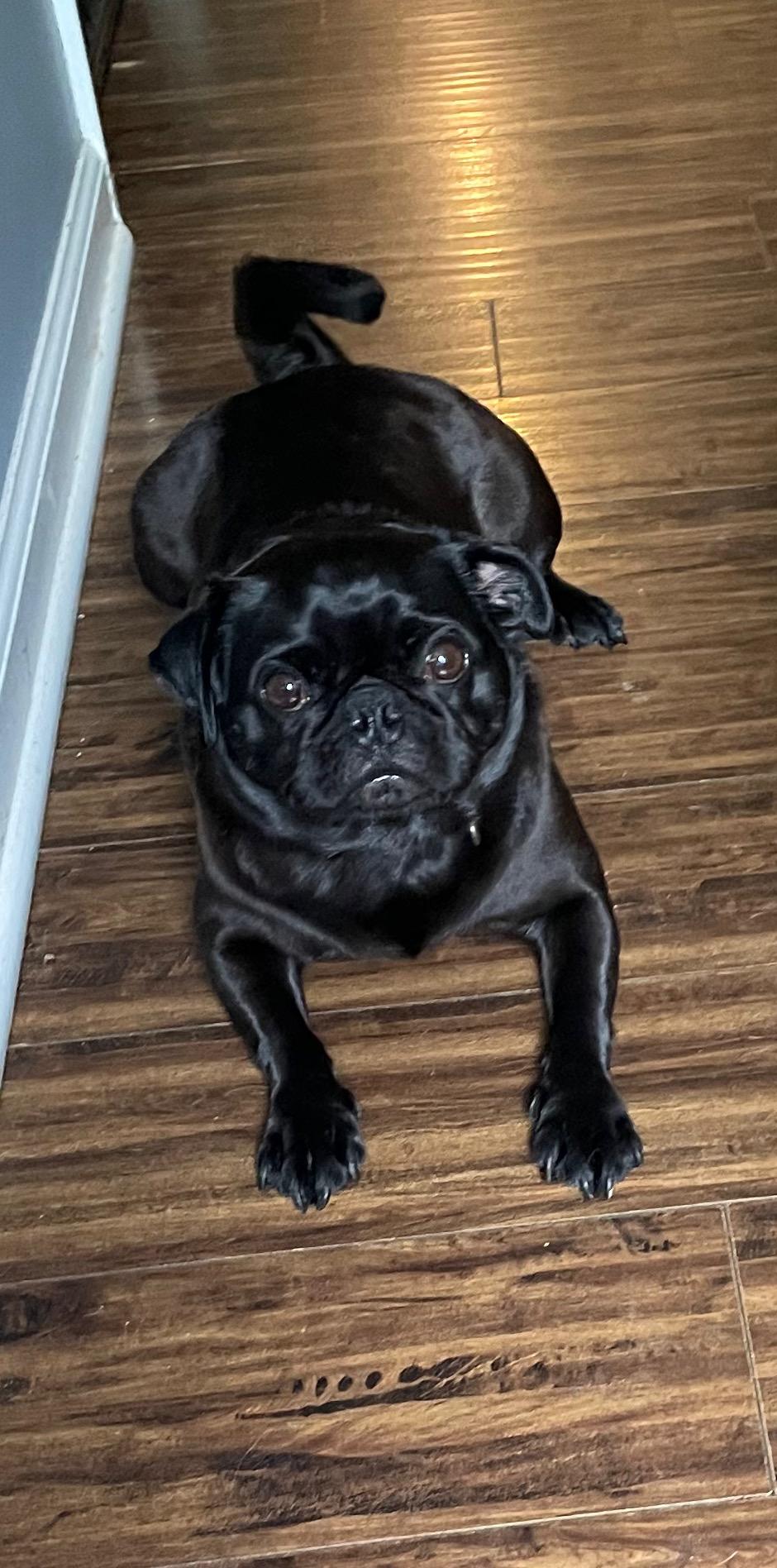 Pixie